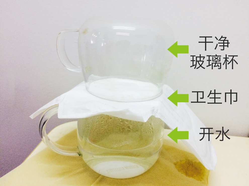 实验.jpg