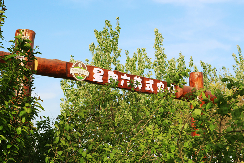 来星期六美式农场过不一样的六一儿童节